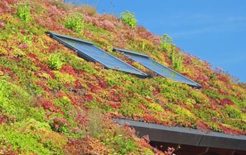 Bluewater living roof systems