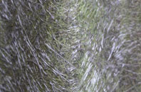 Bluewater fibreglass roof work